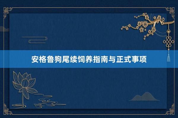 安格鲁狗尾续饲养指南与正式事项