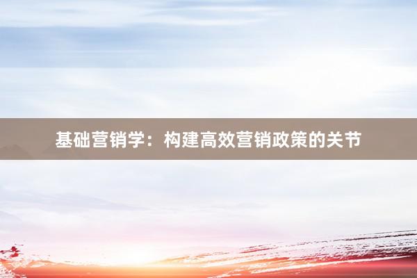 基础营销学：构建高效营销政策的关节